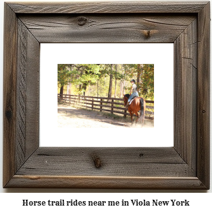 horse trail rides near me in Viola, New York